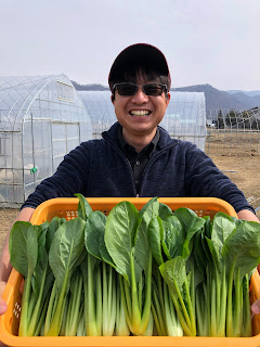 【20220310】洗浄直後のコマツナ