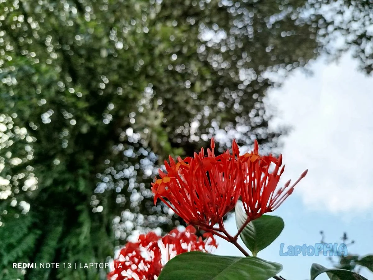 Hasil Foto Kamera Xiaomi Redmi Note 13 4G