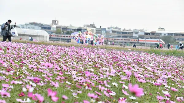 春遊彰化賞花海 花壇鄉「焢吧焢焢~花壇趴兔焢」焢窯