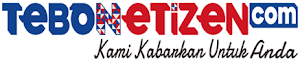 Tebonetizen