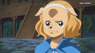 ワンピースアニメ WCI編 849話 ワンダ 幼少期 | ONE PIECE ホールケーキアイランド編