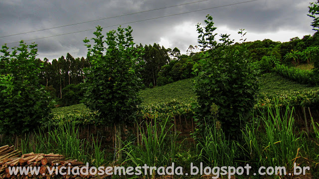 atrações turísticas de Dois Lajeados, RS