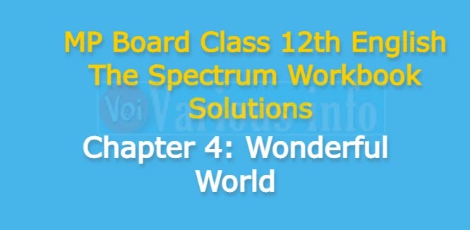 MP Board Class 12th English The Spectrum Workbook Solutions Chapter 4 Wonderful World