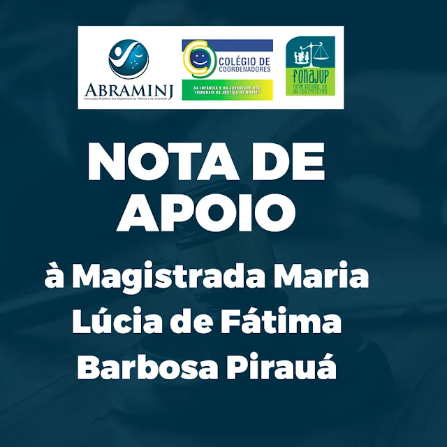 Associação Brasileira de Magistrados da Infância e da Juventude – ABRAMINJ