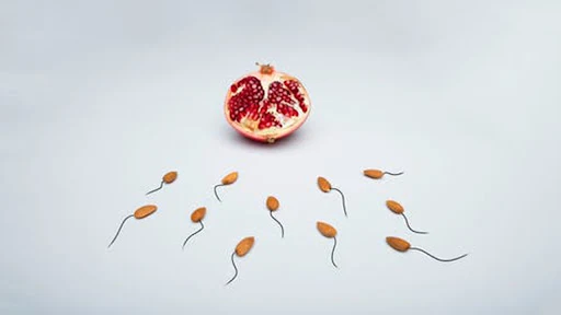 Berisi Program Hamil Pengantin Baru, cara program hamil, makanan untuk program hamil, asam folat untuk program hamil, vitamin untuk program hamil.