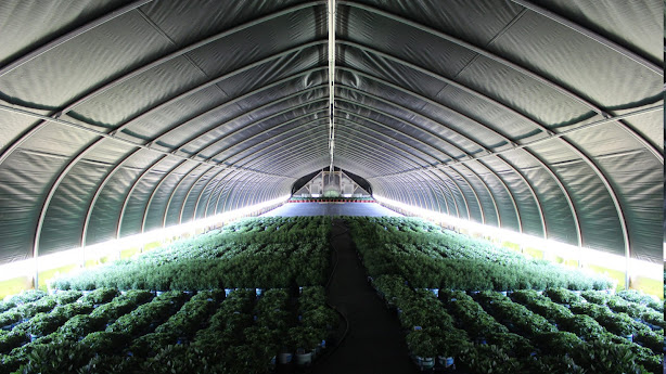 Griffin Greenhouse Supplies