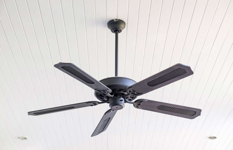 Ceiling fan