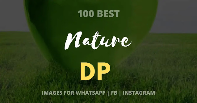 nature dp images for whatsapp, beautiful nature images real, images of nature beauty girl, nature images hd for fb, most beautiful pictures of nature in the world, sad nature dp for whatsapp, eye catching nature dp for whatsapp, nature lover whatsapp dp, natural attractive whatsapp dp, unique nature dp for whatsapp