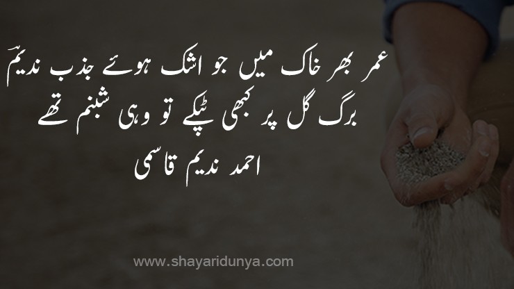 Best khak poetry | Khak Shayari  | 2 lines Khak poetry |  Khak Shayari in Urdu | 2 line urdu shayari | khaak ho jayenge poetry