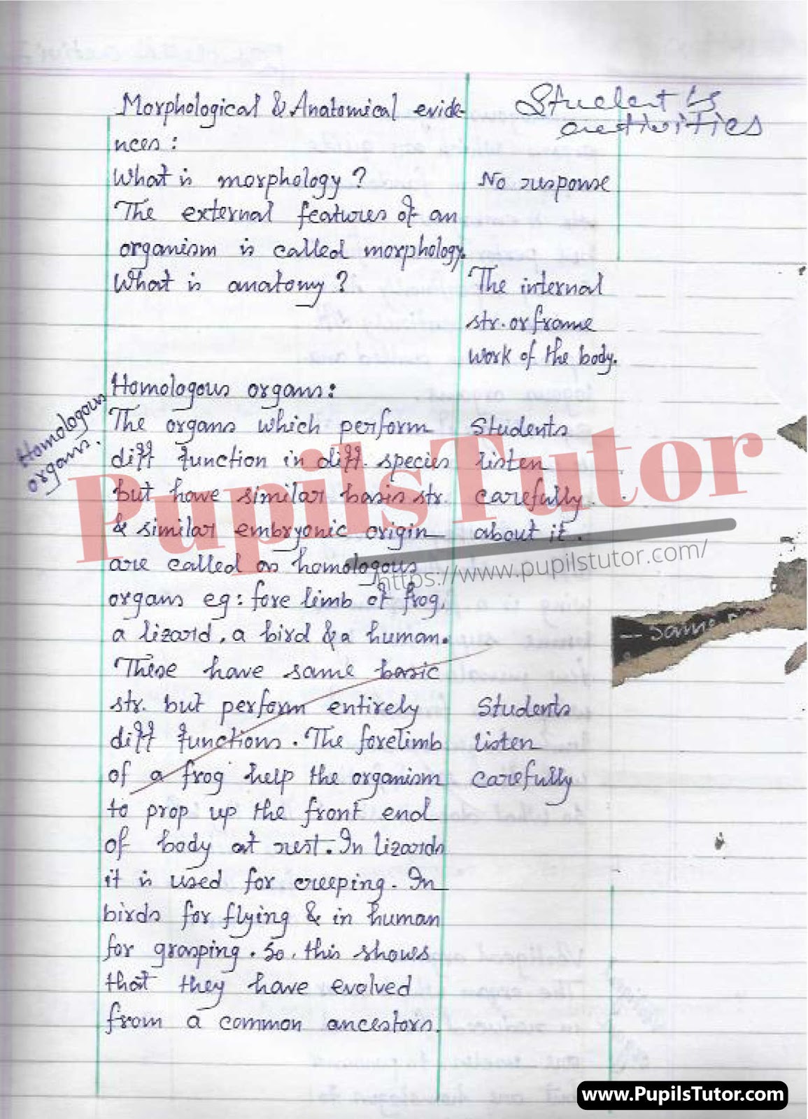 Science (Biology) Lesson Plan On Organic Evolution For Class/Grade 8th, 9th and 10 For CBSE NCERT School And College Teachers  – (Page And Image Number 3) – www.pupilstutor.com