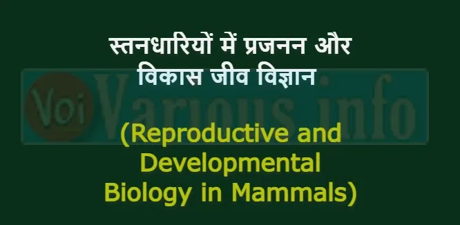 (Reproductive and Developmental Biology in Mammals)