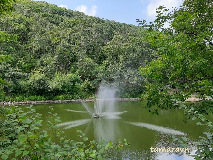 Седанка Парк (Sedanka Park) во Владивостоке