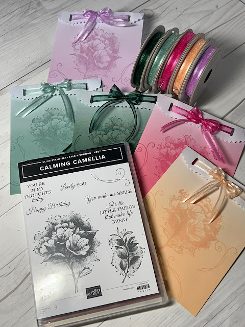 Fast Gift Bag idea using Stampin' Up! In Color Ombre Gift Bags and coordinating Ribbons stamp with the Calming Camila Stamp Set