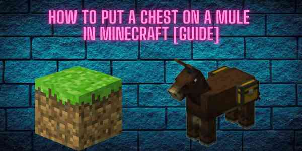 how_to_put_a_chest_on_a_mule_minecraft