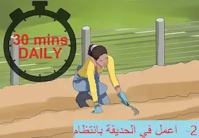 الحديقة