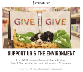 SAFE Coalition: Stop and Shop Community Bag Program fund raiser during February