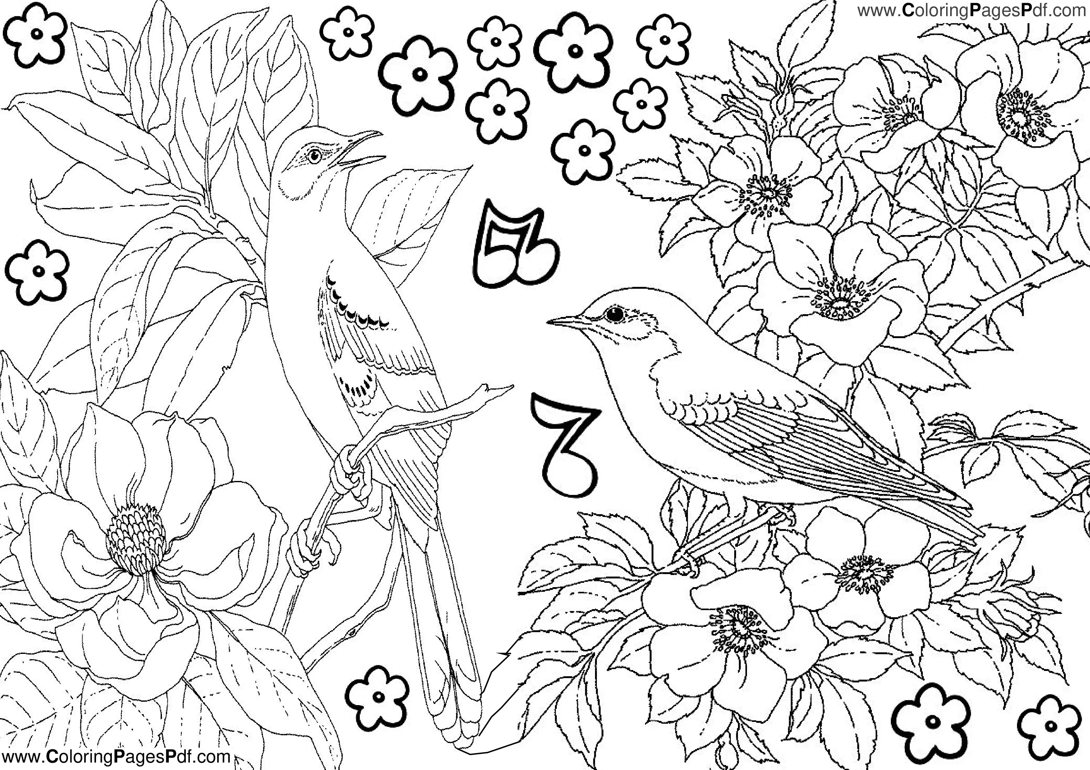 Flower Coloring Pages for Adults