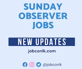 sunday-observer-jobs