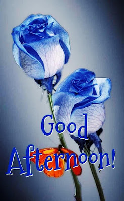 New Good Afternoon Images For WhatsApp