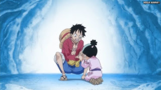 ワンピースアニメ ゾウ編 771話 光月モモの助 ルフィ Monkey D. Luffy | ONE PIECE Episode 771