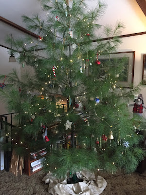 one of our own white pines, decorated for Christmas