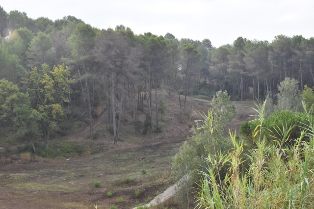 Golf de Sant Cugat del Valles (Barcelona, Cataluña, España)