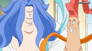 ワンピースアニメ 世界会議編 884話 フカボシ リュウボシ | ONE PIECE Levely Arc レヴェリー