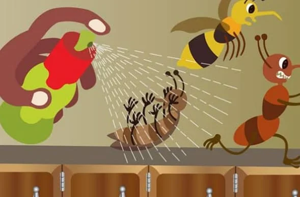 شركات مكافحة حشرات بجازان