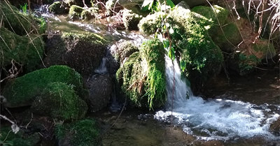 Arroyo de Morca