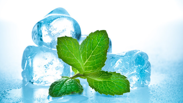 Why do we feel cold when we eat mint?