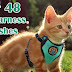Best 48 Adventure Kitty Harness | Cat Harness and Leash for Walking  Escape Proof