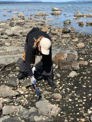 FOSSIL COLLECTING AT HORNBY ISLAND