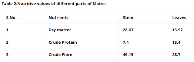 Nutritive value of different parts of maize