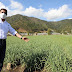 Agricultura garantiza excelente cosecha de rubros en Valle de Constanza 