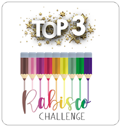 Top 3 - Desafio/ Challenge - Novembro/November #51