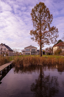 Naturfotografie Schwielowsee Havel Schloss Petzow