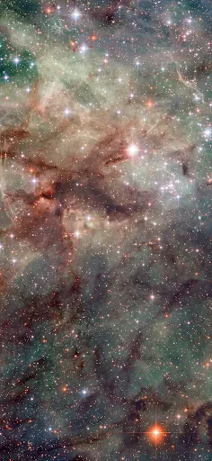 Hubble snaps close-up of the Tarantula