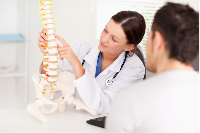 doctor examining model of spine with spectator