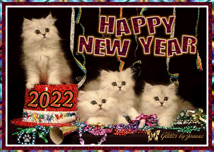 Animated Cat GIF • Happy New Year 2022 to all kitties and cat lovers all over the World [4/6]