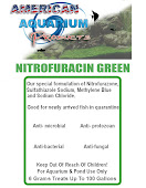 AAP Nitrofuracin Green, Synergistic Nitrofurazone, Sulfathiazole Sodium, & Methylene Blue Full Spectrum Treatment