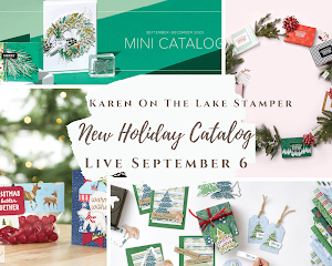 Get The Starter Kit & Order from the New Christmas Catalog & GET 20% Every Time You Order!