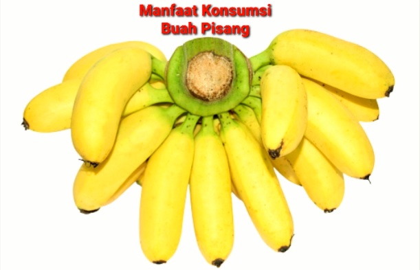 Buah Pisang