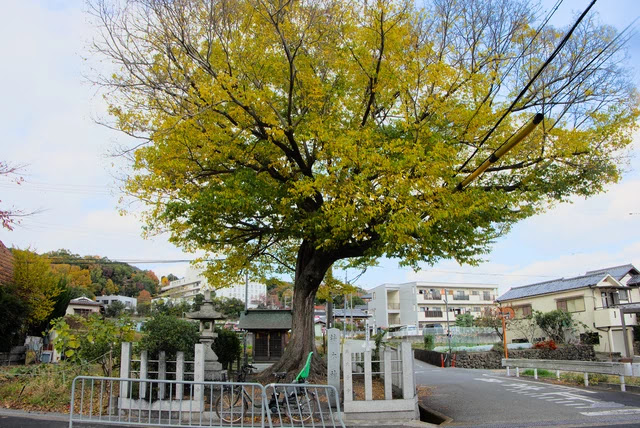 楠木神社