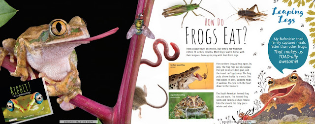 Ribbit! The Truth About Frogs - Annette Whipple, Nonfiction Children's  Author and Speaker
