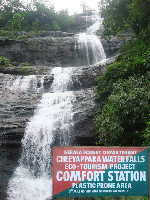 Cheeyappara falls