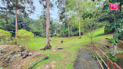 TAIPING BAMBOO RESORT INDAH DAN NYAMAN SESUAI UNTUK PERCUTIAN SEISI KELUARGA