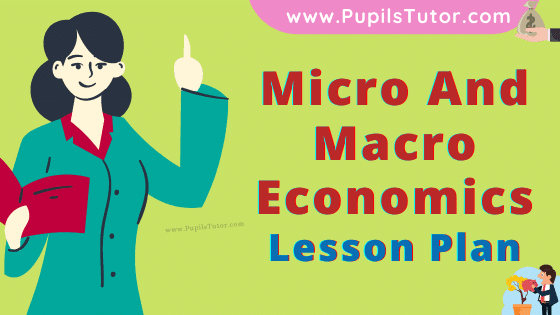 Micro And Macro Economics Lesson Plan For B.Ed, DE.L.ED, M.Ed 1st 2nd Year And Class 11th  Teacher Free Download PDF On Microteaching Skill Of Illustration With Examples In English Medium. - www.pupilstutor.com