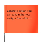 Concrete action you can take right now to fight forced birth