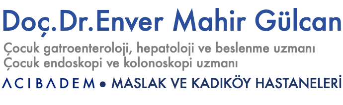 Doç.Dr. Enver Mahir Gülcan