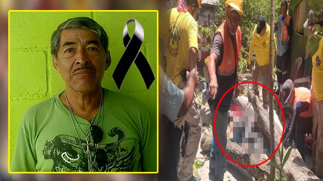 El Salvador: Él era Jorge Aguilar, señor perdió la vida tras caerle un árbol en San Salvador